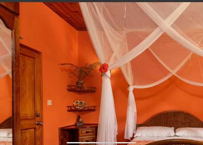 Effie Mountain View Coco Apartment Misere