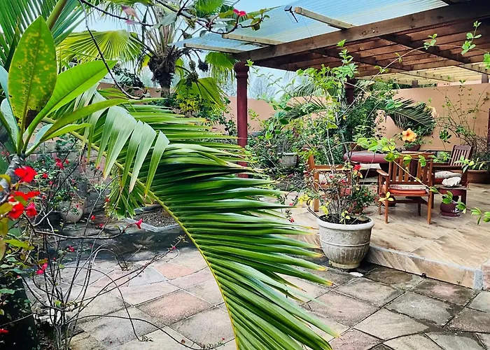 Effie Mountain View Coco Apartment